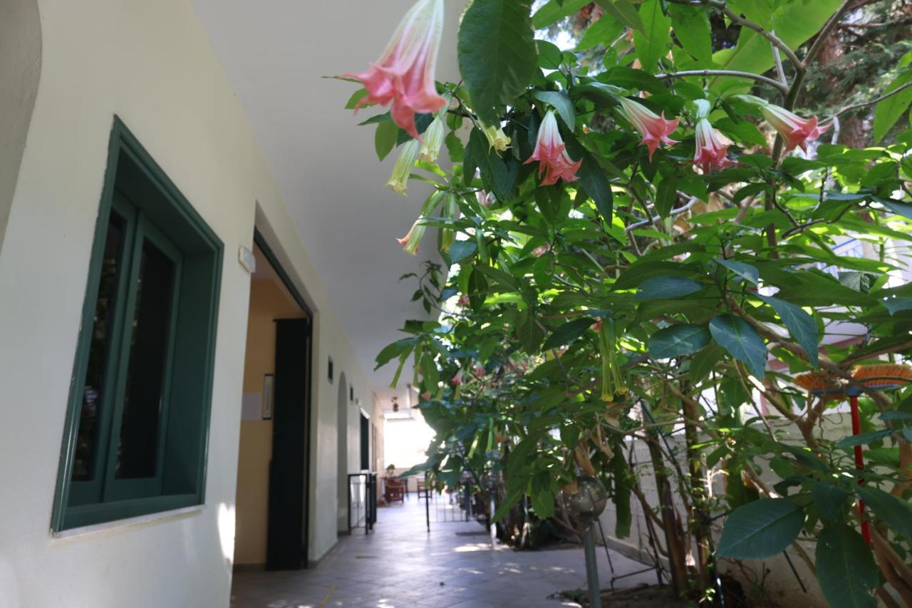 Spanos Apartments Anna'S Lodge Polychrono Bagian luar foto
